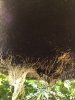 IMG_0141.JPG