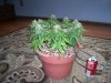 100_2391.JPG 100_2391.JPG