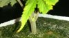 DSC_0137.JPG DSC_0137.JPG