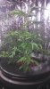 IMG_20140703_203647_687.jpg