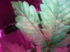 DSCF3358.JPG DSCF3358.JPG