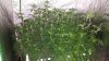IMG_20140706_162147.jpg
