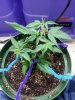 20140707_065827.jpg