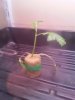 20140709_101514.jpg