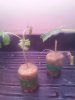 20140709_101532.jpg