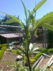 CAM05290.jpg