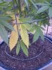 IMG-20140710-00072.jpg