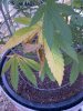 IMG-20140710-00073.jpg