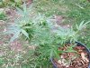 DSCF1112.jpg