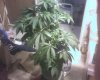 09-23-07_1331.jpg