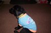 100_2812.jpg