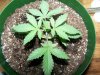 100_2505.jpg