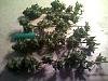 small harvest.jpg