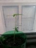 20140712_105255.jpg