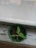 20140712_105307.jpg