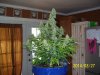 100_1738.JPG