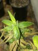 2014-07-10_08-51-53_2.jpg