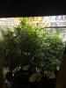 IMG_0212.JPG