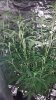 20140711_191411.jpg