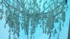 IMG_20140715_101646_366.jpg