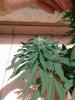 20140716_132732.jpg