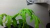 20140715_211818.jpg
