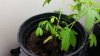 20140715_211831.jpg 20140715_211831.jpg