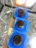 20140718_042149.jpg 20140718_042149.jpg