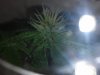 CAM00201.jpg