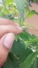 20140719_115006.jpg