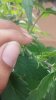 20140719_115014.jpg