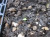 upload_2014-7-22_10-12-17.jpeg