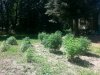 20140716_145924.jpg