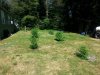 20140726_160826.jpg
