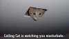 Ceiling_Cat_by_SleepySnitter-1.jpeg