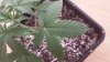 20140731_104325.jpg
