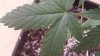 20140731_104421.jpg