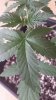 20140731_104716.jpg