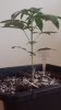 20140731_105510.jpg