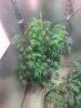 20140730_195537.jpg