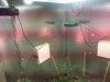 20140730_195551.jpg