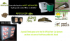 Sponsors.png Sponsors.png