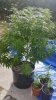 20140801_093049.jpg