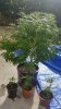 20140801_093014.jpg