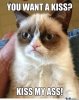 grumpy-cat-ass_o_1038262.jpg