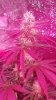 DSCF8448 (360x640).jpg