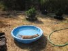 greenhouse 7-31-2014 007.JPG