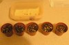 Seed-and-pots.jpg