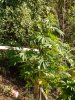 DSC01353.JPG