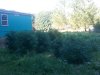 20140804_181909.jpg
